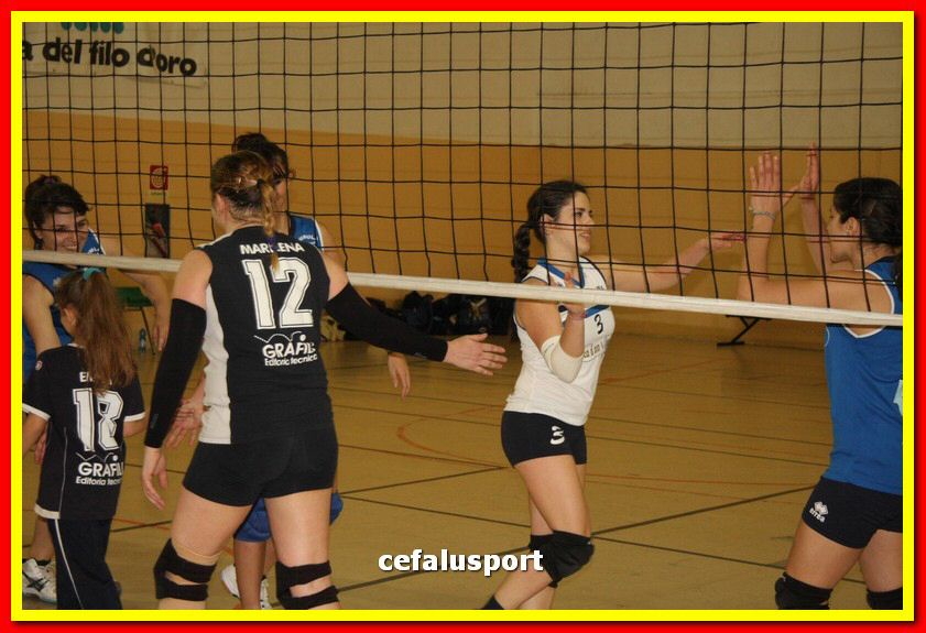 150508_Primula 057_tn.jpg